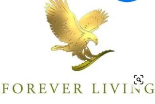 shop logo